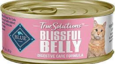blissful belly cat food